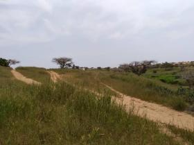 Terrain de 1,83 hectare vers Diokoul Diewrigne 1 hectare 83 are 50 ca
EMPLACEMENT:
À 300 mètres de l’axe Lompoul Village-Saint Louis;
Dans la Commune de : Diokoul Diewrigne
Distant de la ville de Dakar: 03 Heures 27 Minutes ( 194 km )
Distant de la ville de Thiès: 02 Heures 20 Minutes ( 124 km )
Distant de la ville de Louga: 55 Minutes ( 64,5 km )
Profondeur des Puits estimée dans la zone : 18 mètres.
Profondeur des Forages estimée dans la zone : 140 mètres.
TERRAIN:
Parfaitement adapté à toutes les activités agropastorales…
ACCÈS:
Relativement simple
TYPE DE SOL: 
Dekk Dior
DISPONIBILITÉ:
Immédiate
Frais de visite: 15.000 F CFA