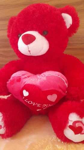 Red Teddy Love 