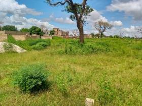 Terrain de 225 mètres carrés à vendre à Saly Sénégal 
Terrain de 225 mètres carrés à vendre à Saly
Au niveau de Keur Youngar
Type de papier: délibération
Zone calme
Accès facile
Eau et électricité disponibles
Aéroport AIBD à 30 minutes
Dakar à 45 minutes en voiture
Bon pour projet à usage d’habitation ou d’investissement immobilier
Prix: 8.000.000 de francs CFA soit 12 214 euros
