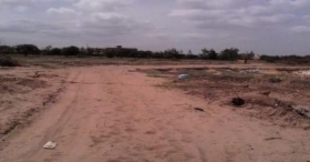 Terrains en vente sur Pikine - Guédièwaye Des terrains en vente dans la région de Dakar,
1 ha 500 en Titre foncier en bord de route à croisement Niague 20000 f le m²
2 ha en titre foncier en bord de route à l