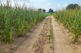 Terrain de 3 hectares vers Tassette