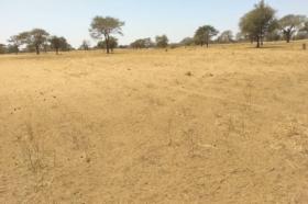 Terrain de 2,11 hectares vers Saghata