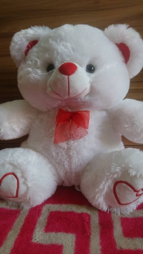 Peluche Ours Blanche 