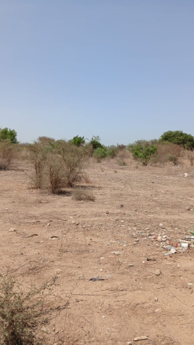 Terrain de 1200 mètres carrés à vendre à Sinthiane Sénégal