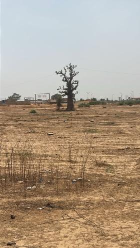 Terrain de 300 mètres carrés à vendre à Malicounda Sénégal Terrain de 300 mètres carrés à vendre à Malicounda péage 
En 2ème position 
Type de papier : délibération 
Viabilisé eau et électricité 
Zone calme 
Accès facile 
AIBD à 32 minutes 
À 45 minutes de Dakar 
Bon pour projets immobiliers et à usage d