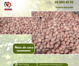 VENTE DE COCO VENTE DE NOIX DE COCO

Découvrez notre sélection de noix de coco fraîches, disponibles en vrac et prêtes à être livrées directement à votre porte. Que ce soit pour l