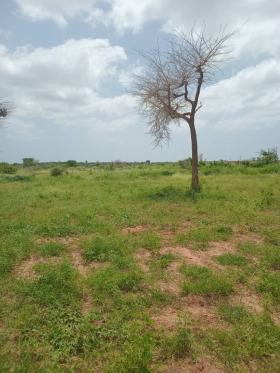 Vente de terrain 250m² Ndayane