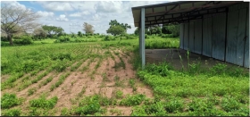 Grand terrain à vendre à Sidibougou village prés de Warang