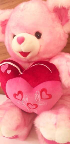 Pink Teddy Love Magnifique nounours teddy rose love de couleur rose avec une douceur etonnante pour exprimer tout votre amour et vos sentiments envers une personne que vous portez au fond de votre coeur.douce et agrable au toucher,propre de grande qualité et d