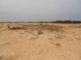 Terrains en vente sur Pikine - Guédièwaye Des terrains en vente dans la région de Dakar,
1 ha 500 en Titre foncier en bord de route à croisement Niague 20000 f le m²
2 ha en titre foncier en bord de route à l