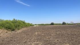 Champ de 2 hectare et demi à vendre à Mbodiène Sénégal Un champ de 2 hectares et demi à vendre à Mbodiène ville neuve 
Accès facile 
Zone calme 
Type de papier : délibération 
Pour projet à usage d’habitation ou d’investissement immobilier 
Prix: 11.000.000 de francs CFA soit 16.794 euros par hectare 
