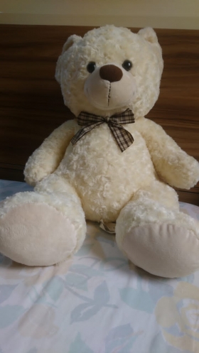 Peluche Soft Teddy Bear