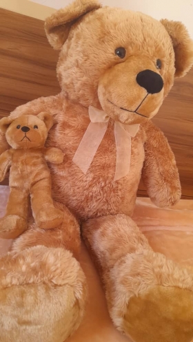 Peluche Ours & Ourson 