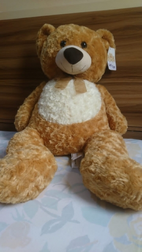 Peluche Soft Teddy Bear