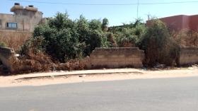 Terrain de 400 mètres carrés à vendre à Saly Sénégal Terrain de 400 mètres carrés à vendre à Saly
En angle de rue
Au bord de la route goudronnée
À 100 mètres de la route allant vers Saly
Type de Papier : délibération
Zone calme
Accès facile
Aéroport AIBD à 30 minutes
Dakar à 45 minutes
Bon pour projet à usage d’habitation ou d’investissement immobilier

