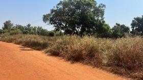 Terrains de 300 mètres carrés à vendre à Warang Sénégal Lot de 4 terrains de 300 mètres carrés à vendre à Warang
En bordure de route
À 3 minutes de la route nationale sur la latérite
Type de Papier : délibération
Eau et électricité disponibles
Zone  calme
Accès facile
Aéroport AIBD à 35 minutes
À 45 minutes de Dakar
Bon pour projet à usage d’habitation ou d’investissement immobilier
Prix: 7.500.000 de francs soit 11.450 euros /parcelle
