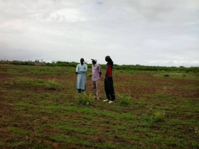 Terrains de 08ha (83886m²) Terrains de 08ha (83886m²) à vendre à Nguerigne sur la route Somone - Ngaparou avec une vue sur l