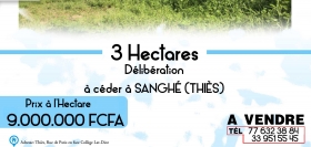 3 hectares à vendre 3 hectares à céder à Sanghé à Thiès.
