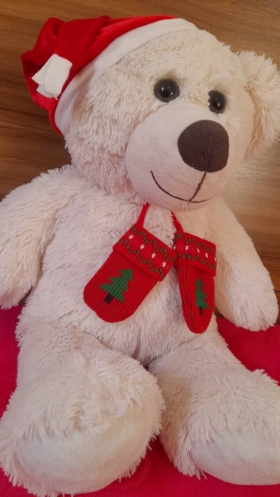 Teddy Joyeux Noël 