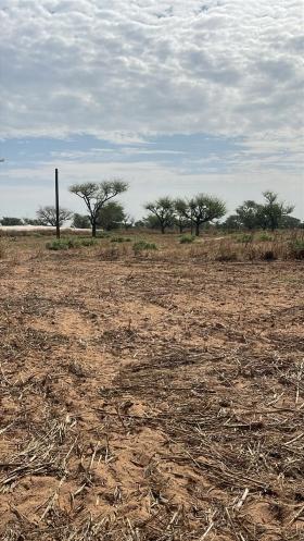 Terrains de 300 mètres carrés à vendre à Malicounda Sénégal