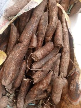 VENTE DE MANIOC