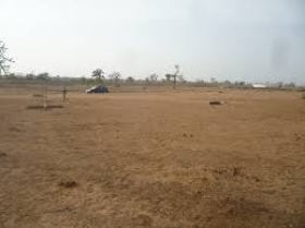 Terrain de 12500m² en vente sur Sindia en face de la réserve de Bandia