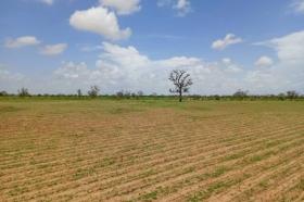 Terrain de 2,18 hectares vers Diourbel