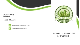 Ingénieur des travaux agricoles  Conseil agricole, formation, encadrement de producteurs agricoles, formation sur les outils de gestion administrative et financière des entreprises agricoles, animation de groupement d