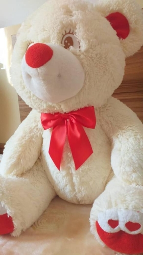 Teddy Bear's in love