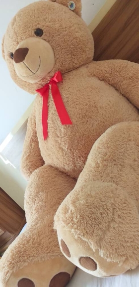 Gigantesque Nounours Teddy  Craquez pour ce somptueux et gigantesque nounours teddy bear de 175cm de couleur beige,avec sa taille impressionnante et son pelage ultra-doux vous allez trouver du reconfort,de l