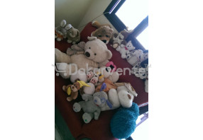 blog-img